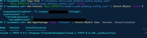 PowerShell confirming the reinstalled app is the same MSIX package family, with config values shown